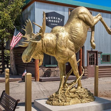 The Bucking Moose Otel West Yellowstone Dış mekan fotoğraf